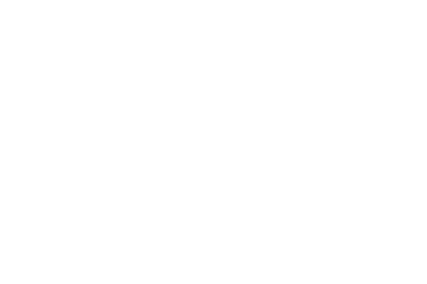 Bodog Sports