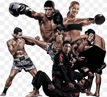 Luchas Mixtas
