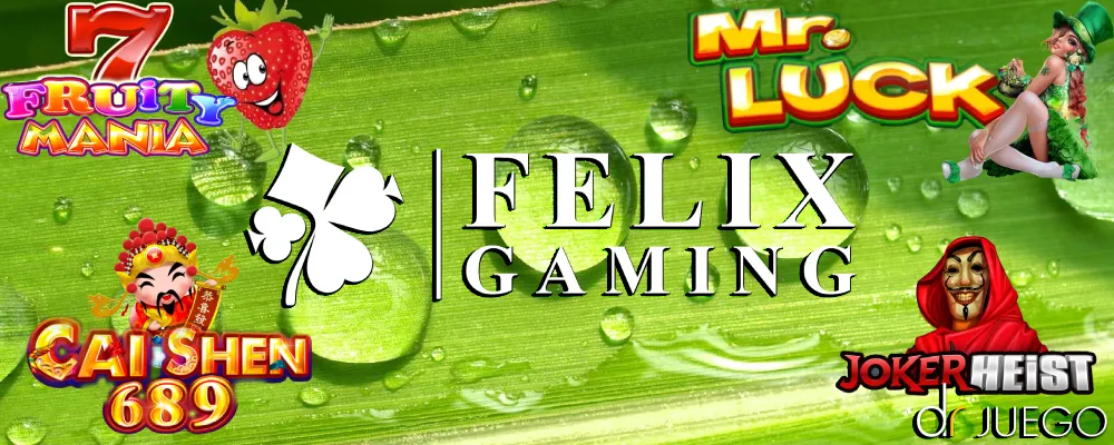 Acerca de Felix Gaming 6