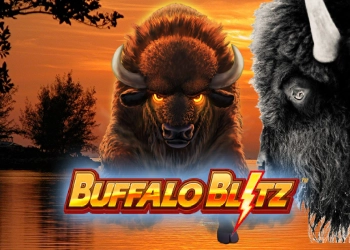 buffalo blitz