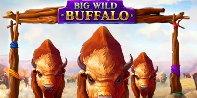 Big Wild Buffalo